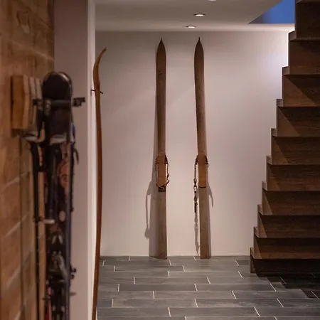 Adler 木屋 萨斯费